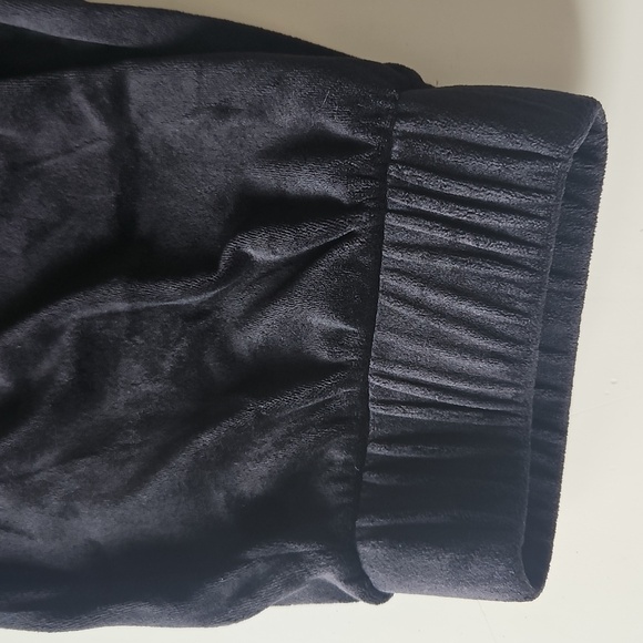 Express Velour Joggers - Picture 4 of 7